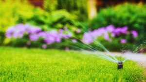 Smart Sprinklers Rachio Pro Babcock Ranch SWFL