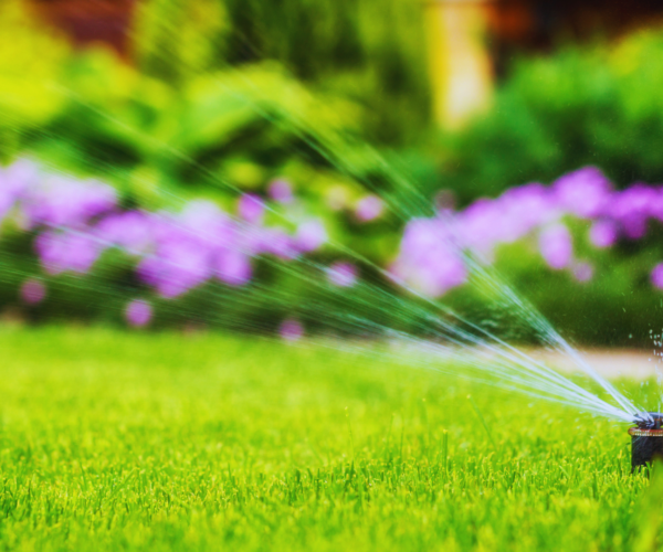 Smart Sprinklers Rachio Pro Babcock Ranch SWFL